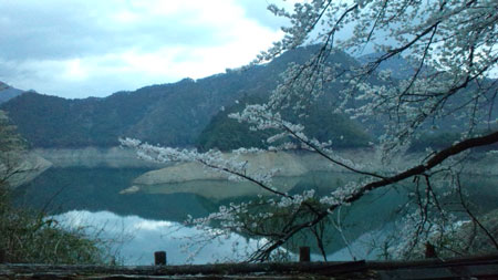 桜の池原